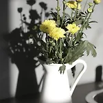 Lejlighed Water And Sun *