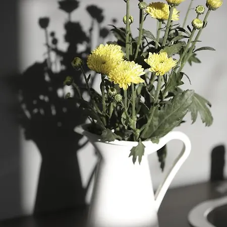 Апартаменты Water And Sun *